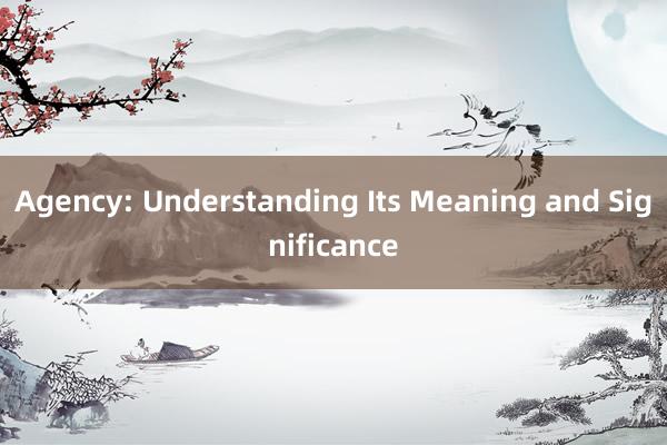 Agency: Understanding Its Meaning and Significance